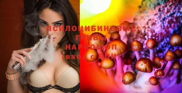 ПСИЛОЦИБИНОВЫЕ ГРИБЫ Баксан