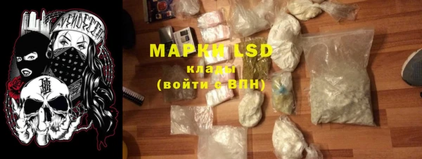 ПСИЛОЦИБИНОВЫЕ ГРИБЫ Баксан